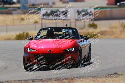 media/Mar-08-2025-Extreme Speed (Sat) [[4abb97269e]]/Blue/Turns 2  and  4 (Session 2)/